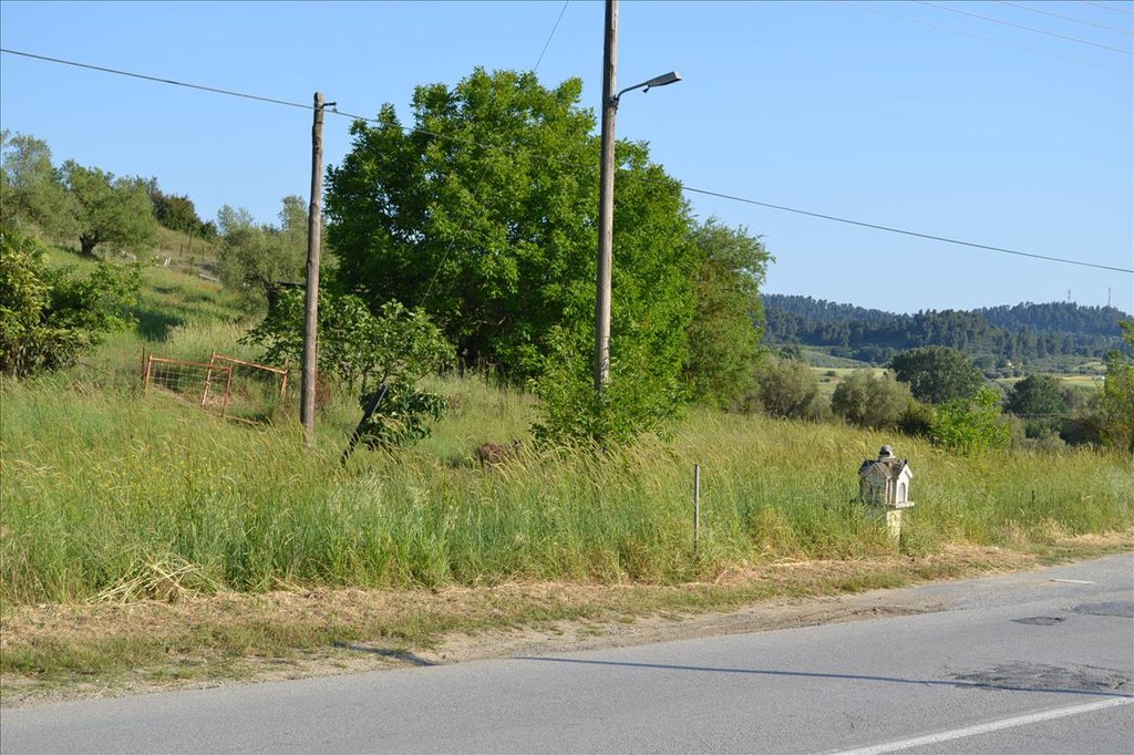 Οικόπεδο 2.300 τ.μ. προς πώληση, Καλλιθέα Κασσάνδρας