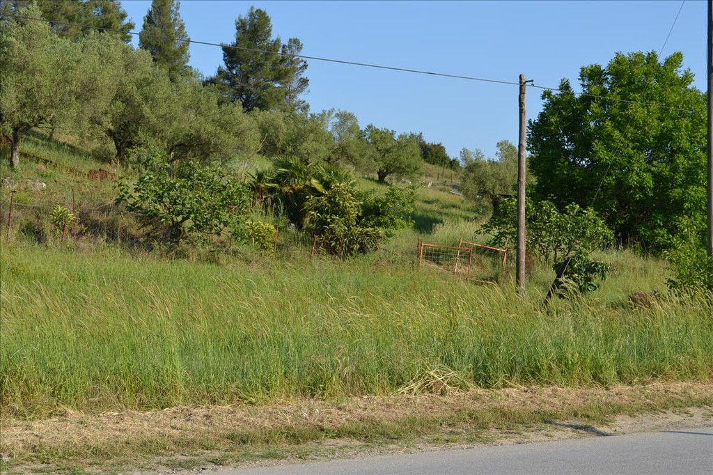 Οικόπεδο 2.300 τ.μ. προς πώληση, Καλλιθέα Κασσάνδρας