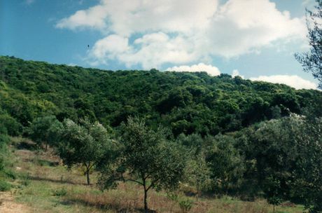 Land plot 68.000sqm for sale-Corfu » Melitieoi
