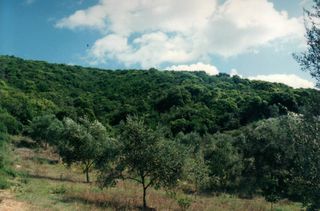 Οικόπεδο 68.000 τ.μ. για πώληση