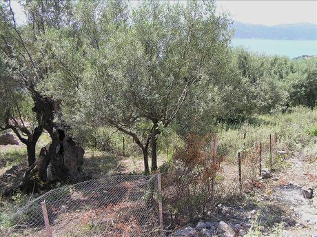 Land plot 1.010sqm for sale-Kalamos » Kastro