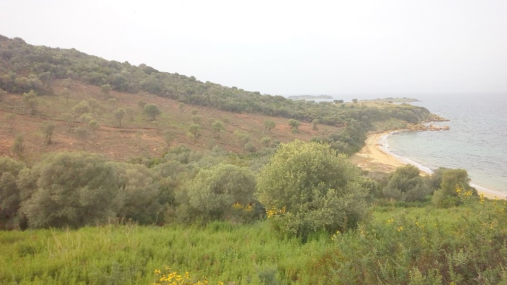 Οικόπεδο 12.000 τ.μ. προς πώληση, Αμολιανή