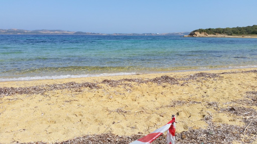 Οικόπεδο 12.000 τ.μ. προς πώληση, Αμολιανή