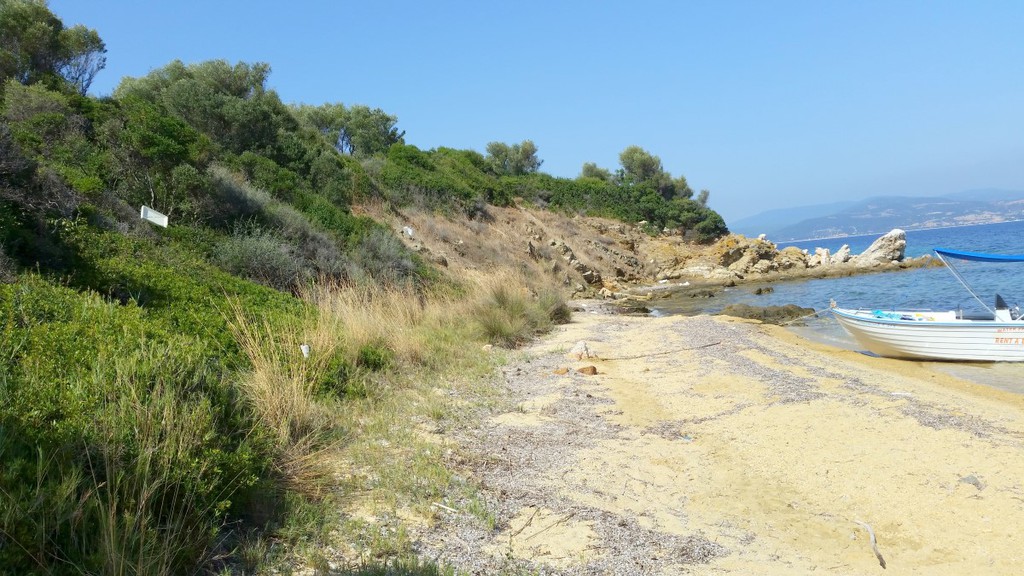 Οικόπεδο 12.000 τ.μ. προς πώληση, Αμολιανή