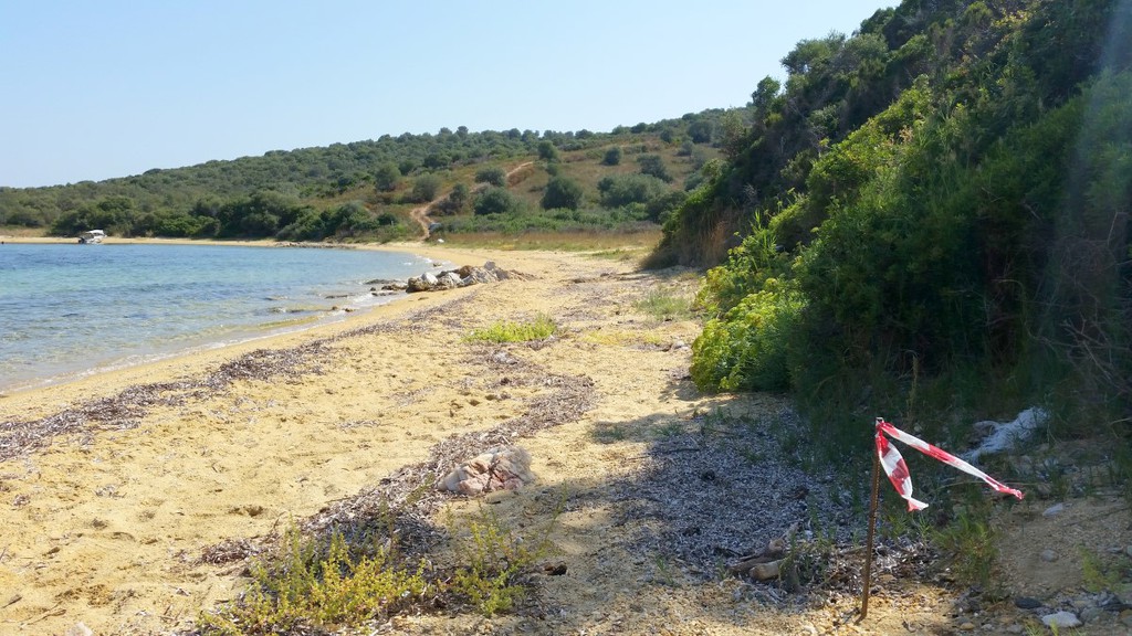Οικόπεδο 12.000 τ.μ. προς πώληση, Αμολιανή