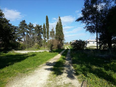 Land plot 120.000sqm for sale-Arkadi » Tsilivi