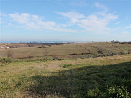 Land plot 5.800sqm for sale-Methoni » Archea Pidna