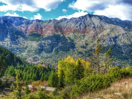 Land plot 25.000sqm for sale-Parnassos » Center