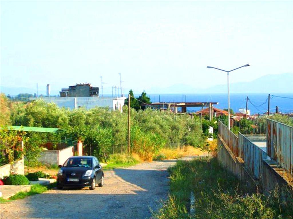 Οικόπεδο 1.400 τ.μ. πρός πώληση, Μαγνησία, Αγριά