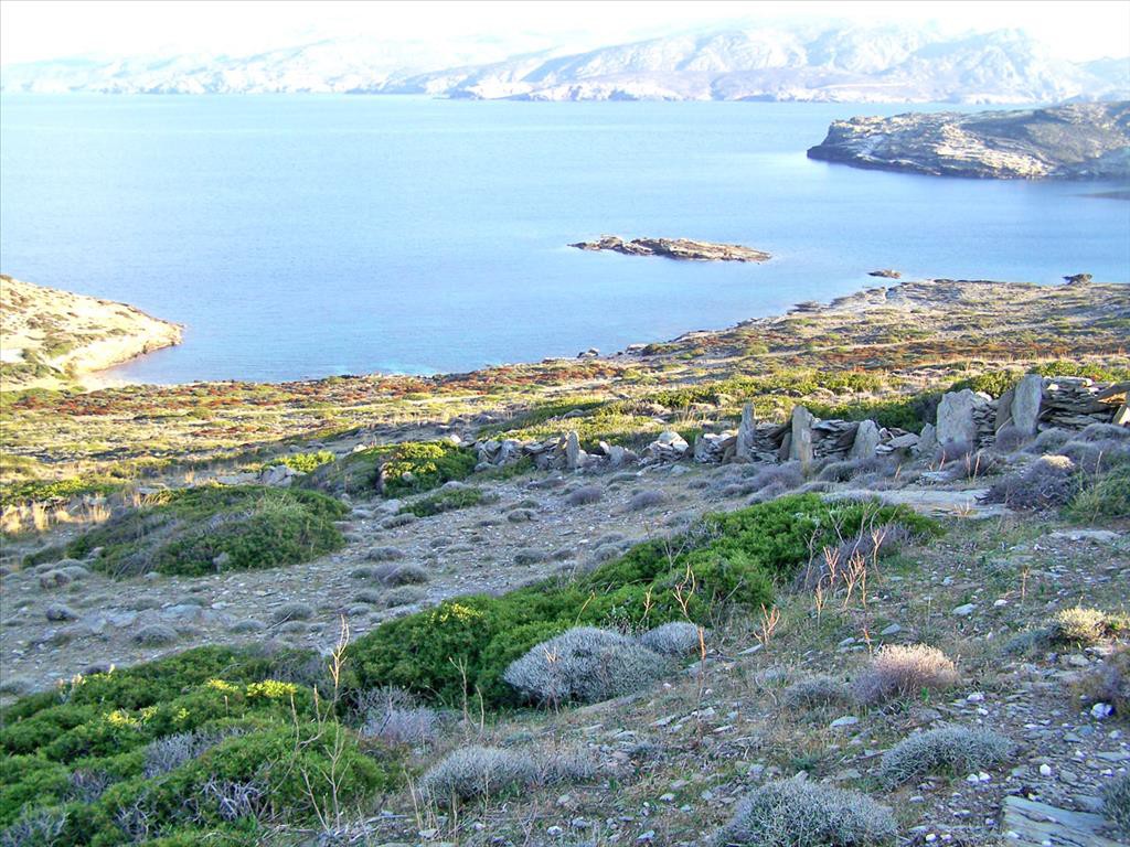 Οικόπεδο 186.000 τ.μ. προς πώληση, Κουμελάς