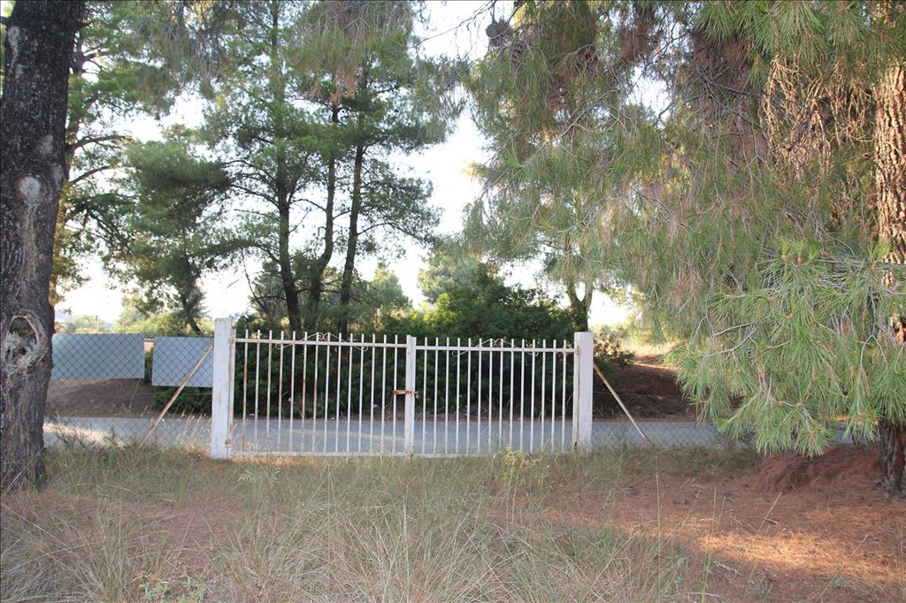 Οικόπεδο 3.600 τ.μ. προς πώληση, Μετόχι Ορμύλιας