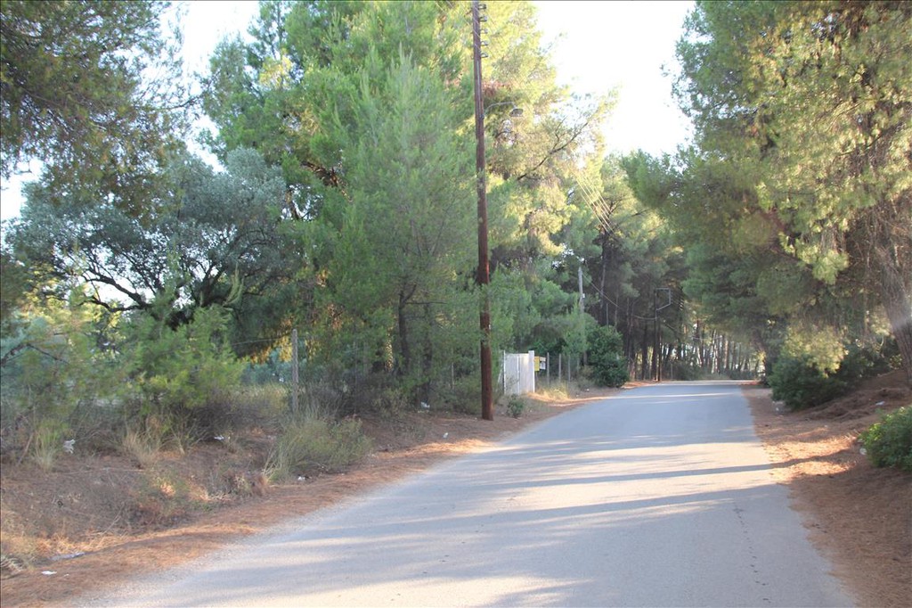 Οικόπεδο 3.600 τ.μ. προς πώληση, Μετόχι Ορμύλιας