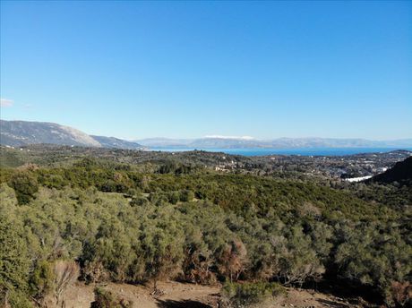 Οικόπεδο 5.000 τ.μ. για πώληση