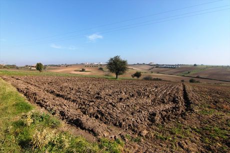 Land plot 5.000sqm for sale-Thermi » Trilofo