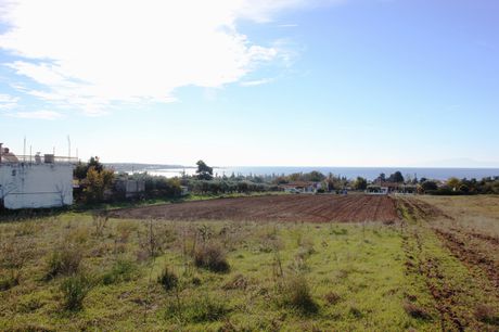 Land plot 4.000sqm for sale-Michaniona » Nea Michaniona