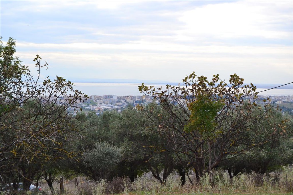 Οικόπεδο 3.800 τ.μ. προς πώληση, Οικισμός Τοπογράφων