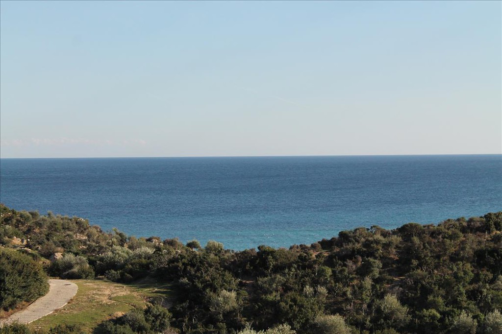 Οικόπεδο 500 τ.μ. προς πώληση, Σκάλα Συκέας