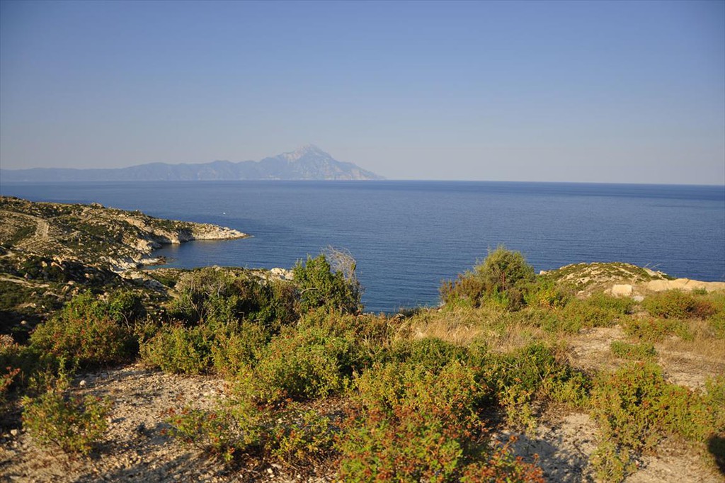 Οικόπεδο 500 τ.μ. προς πώληση, Σκάλα Συκέας