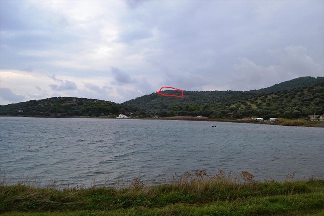 Land plot 5.300 sqm for sale, Chalkidiki, Pallini
