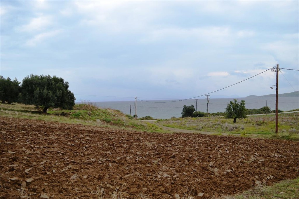 Οικόπεδο 8.404 τ.μ. προς πώληση, Παλιούρι Παλλήνης