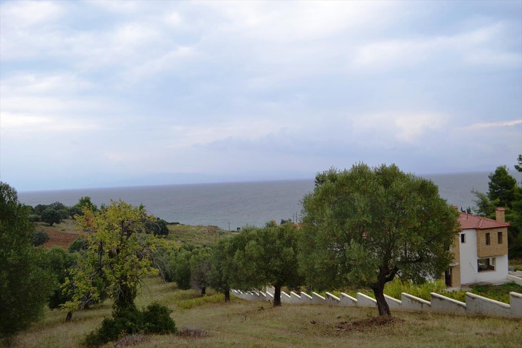 Οικόπεδο 8.404 τ.μ. προς πώληση, Παλιούρι Παλλήνης