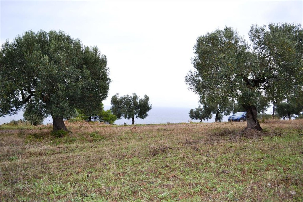 Οικόπεδο 4.200 τ.μ. προς πώληση, Παλιούρι Παλλήνης