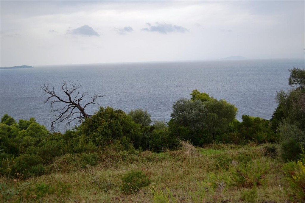 Οικόπεδο 4.200 τ.μ. προς πώληση, Παλιούρι Παλλήνης