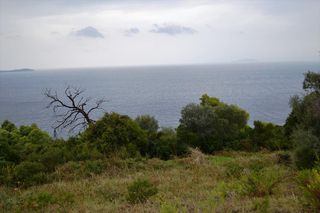 Οικόπεδο 4.200 τ.μ. προς πώληση