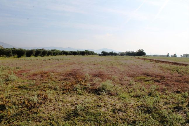 Land plot 11.600 sqm for sale, Thessaloniki - Suburbs, Thermi