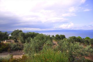 Βίλλα 700 τ.μ. προς πώληση, Γαλήνη Σιθωνίας-thumb-22