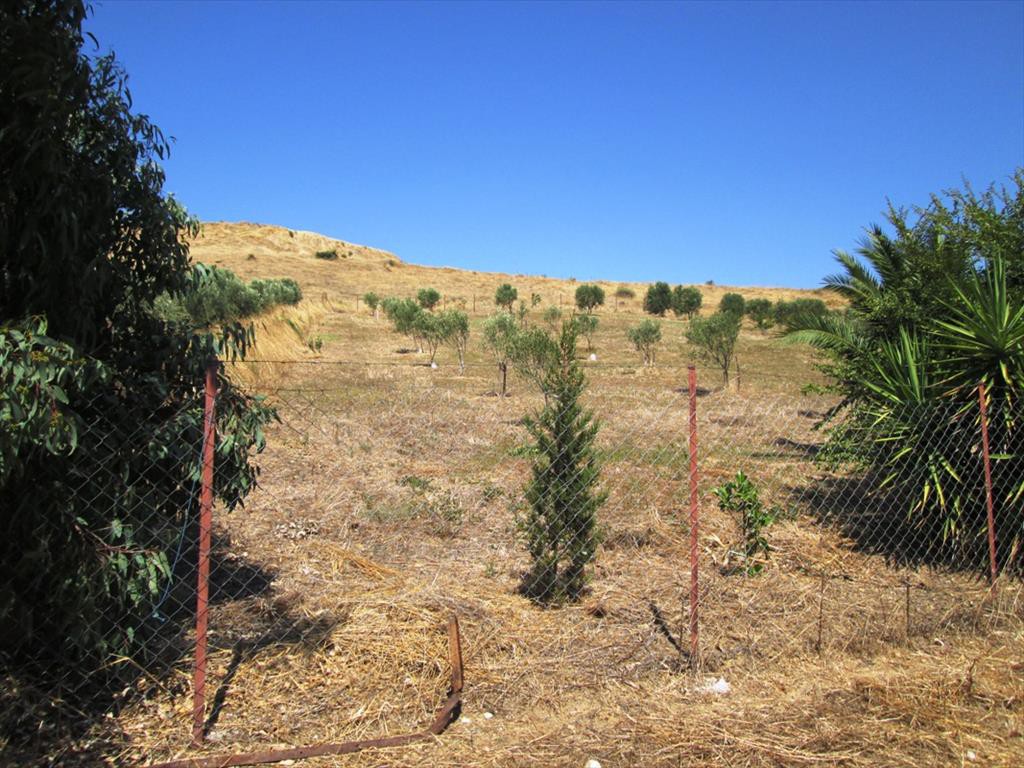 Οικόπεδο 2.479 τ.μ. προς πώληση, Άγιος Νικόλαος Σιθωνίας