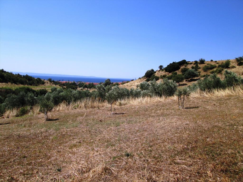 Οικόπεδο 2.479 τ.μ. προς πώληση, Άγιος Νικόλαος Σιθωνίας