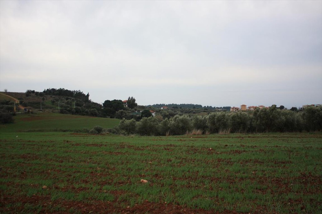 Οικόπεδο 3.900 τ.μ. προς πώληση, Όρμος Παναγίας