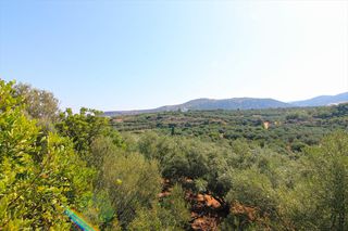 Οικόπεδο 4.000 τ.μ. για πώληση