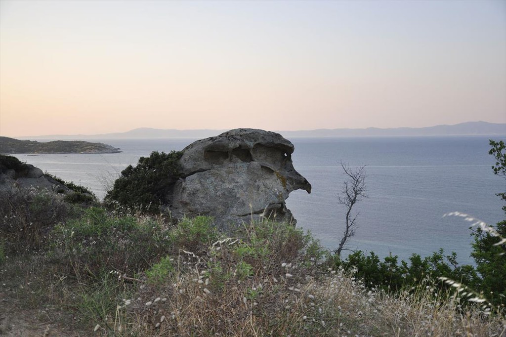Οικόπεδο 500 τ.μ. προς πώληση, Σκάλα Συκέας