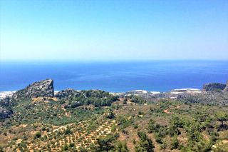 Οικόπεδο 2.000 τ.μ. για πώληση