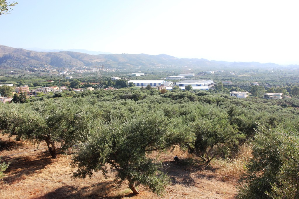 Οικόπεδο 8.100 τ.μ. προς πώληση, Μακρύς Τοίχος