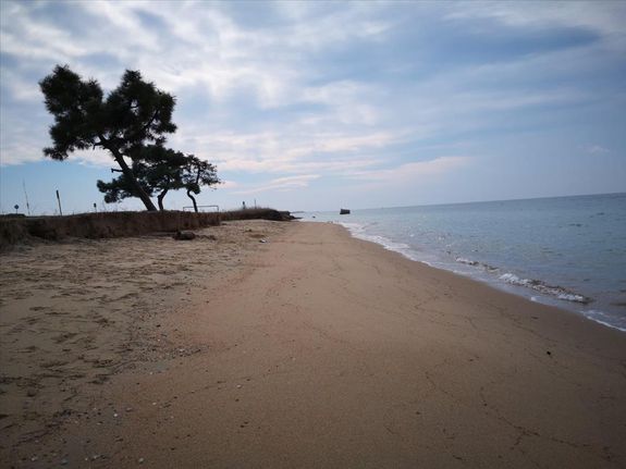 Οικόπεδο 5.000 τ.μ. για πώληση, Χαλκιδική, Καλλικράτεια