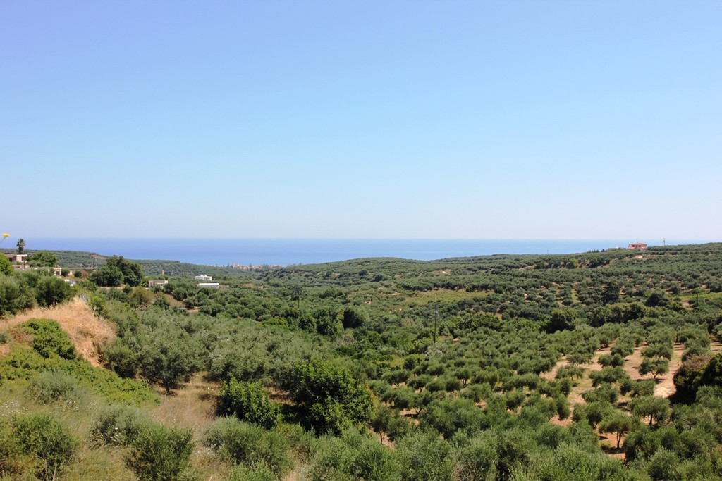 Οικόπεδο 3.500 τ.μ. προς πώληση, Μάλεμε