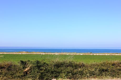 Οικόπεδο 4.700τ.μ. για πώληση-Βουκολιές » Ταυρωνίτης