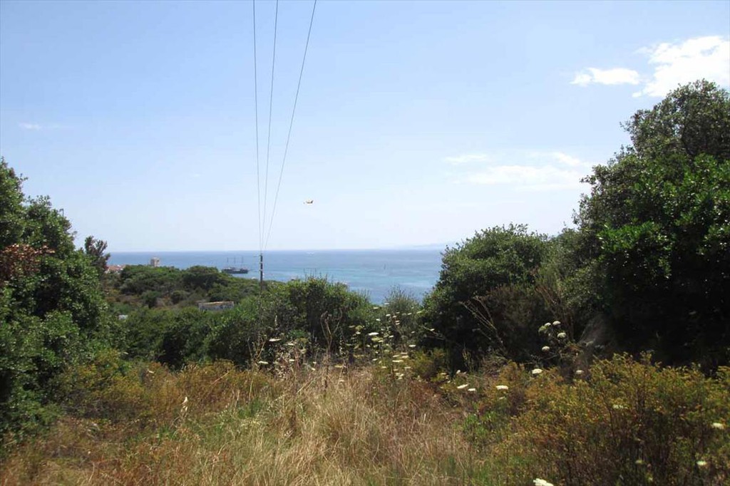 Οικόπεδο 10.500 τ.μ. προς πώληση, Κουμίτσα