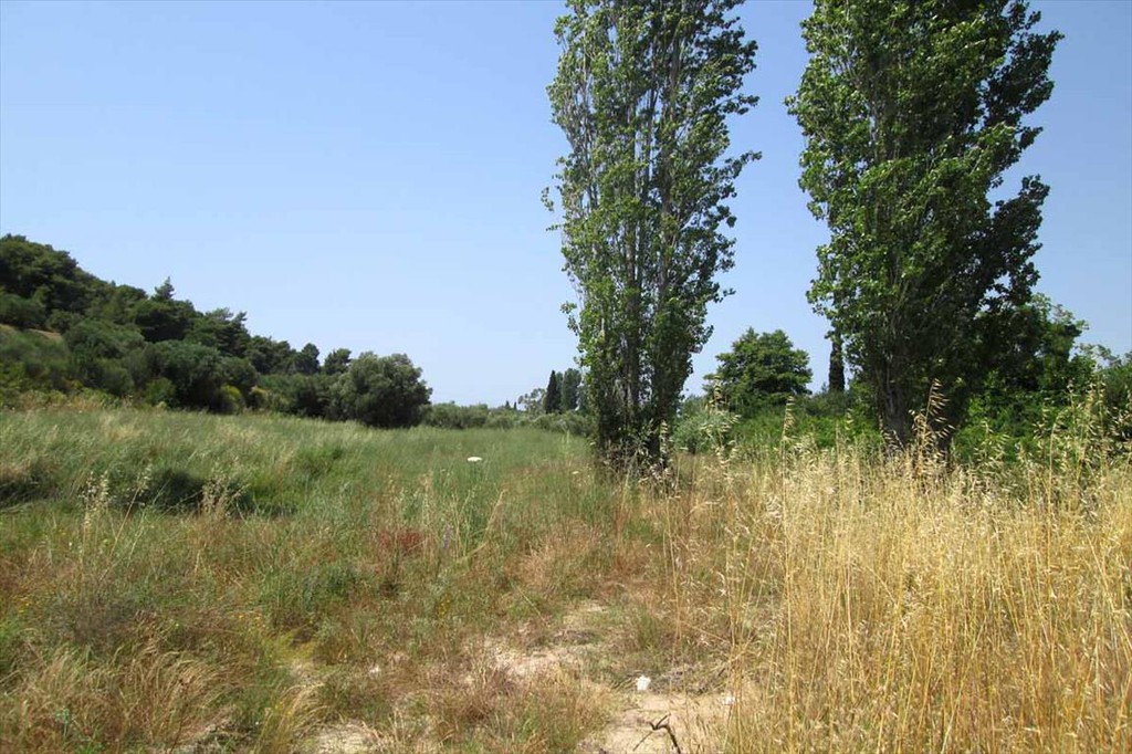 Οικόπεδο 6.533 τ.μ. προς πώληση, Άγιος Αθανάσιος Σιθωνίας