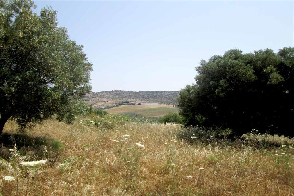Οικόπεδο 4.123 τ.μ. προς πώληση, Όρμος Παναγίας