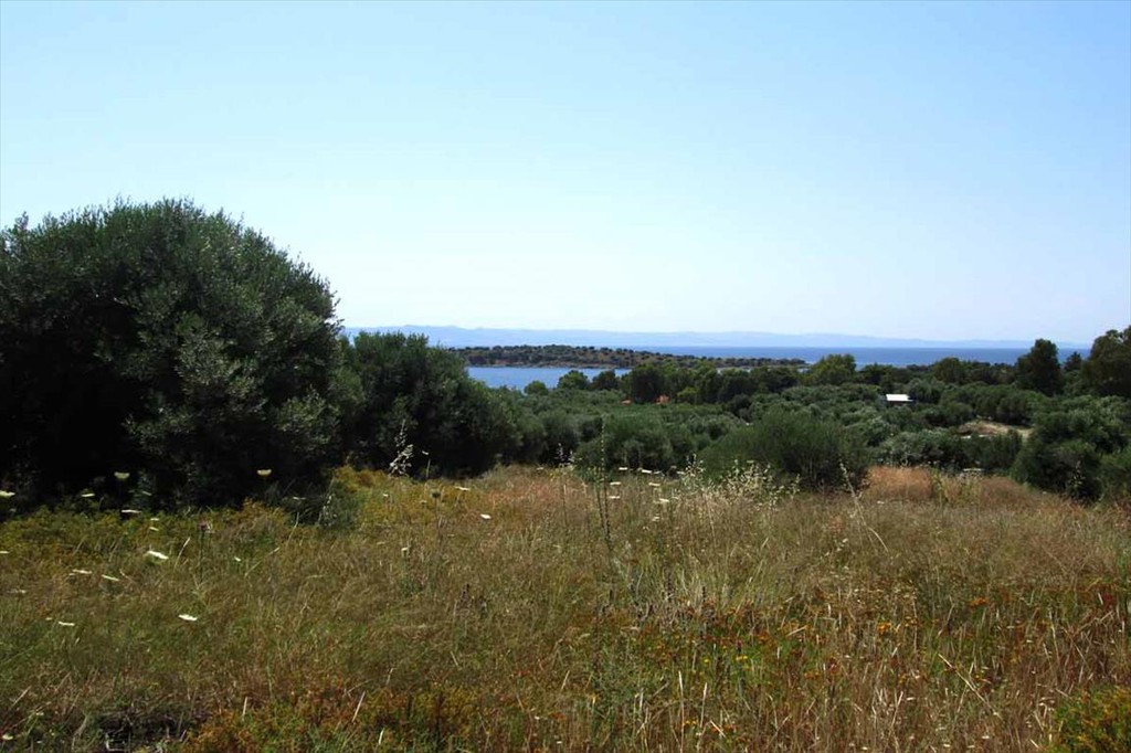 Οικόπεδο 7.125 τ.μ. προς πώληση, Αγία Κυριακή Σιθωνίας