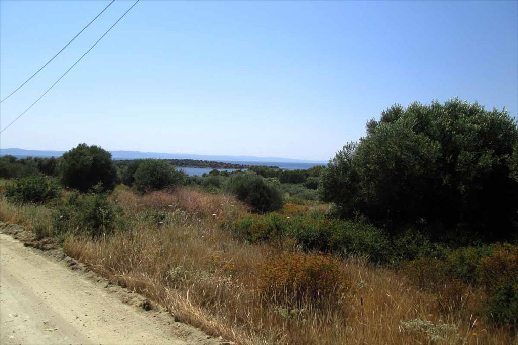 Οικόπεδο 7.125 τ.μ. προς πώληση, Αγία Κυριακή Σιθωνίας