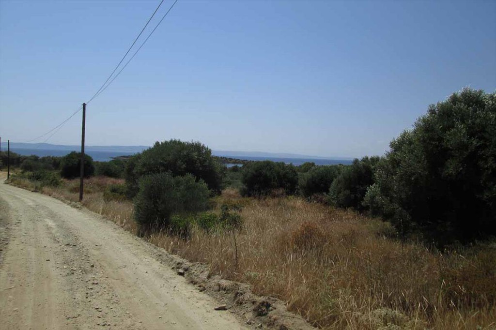 Οικόπεδο 7.125 τ.μ. προς πώληση, Αγία Κυριακή Σιθωνίας