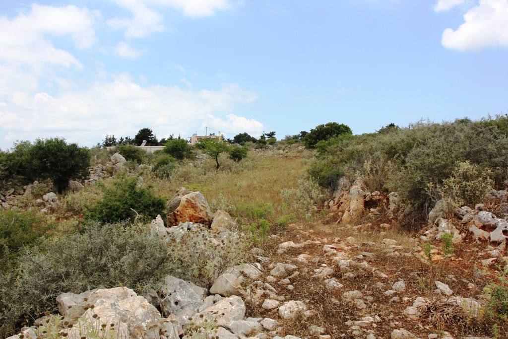 Οικόπεδο 4.300 τ.μ. προς πώληση, Παλαιλώνι