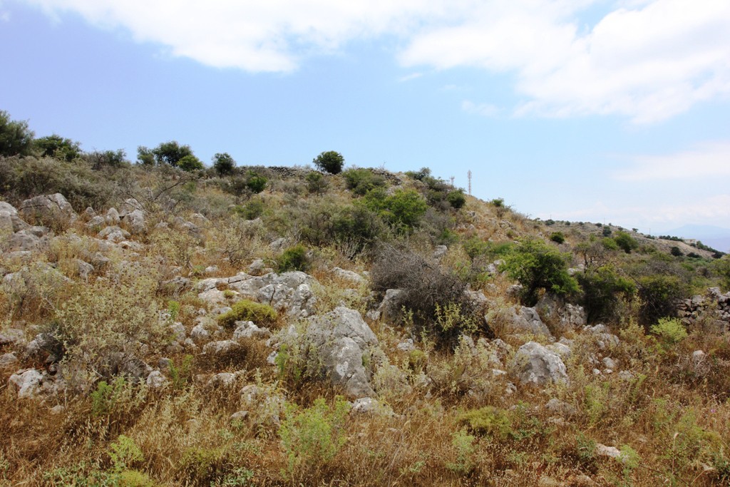 Οικόπεδο 4.300 τ.μ. προς πώληση, Παλαιλώνι