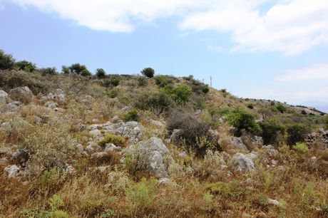 Οικόπεδο 4.300 τ.μ. προς πώληση