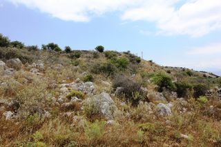 Οικόπεδο 4.300 τ.μ. για πώληση